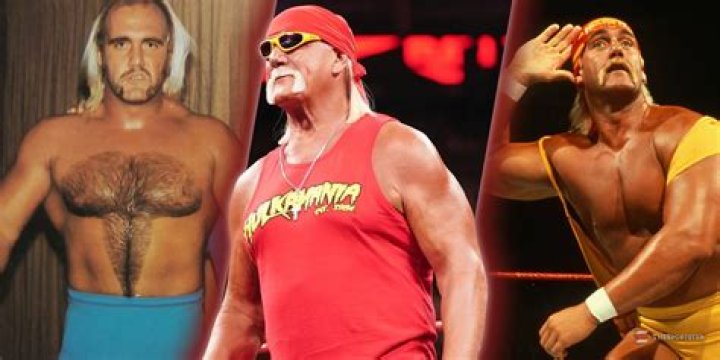 Hulk Hogan's Best Matches, According To Cagematch.net