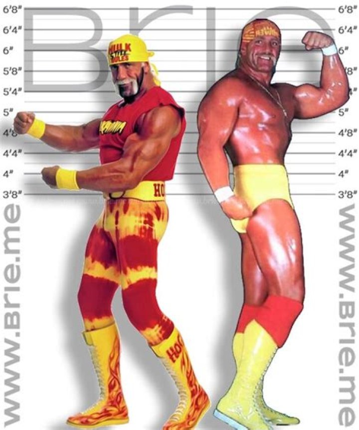 Hulk Hogan height