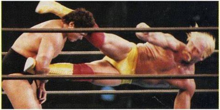 Hulk Hogan Vs. Genichiro Tenryu