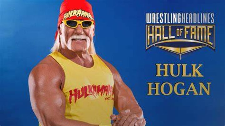 Hulk Hogan WWE Hall of Fame 2005 Cropped