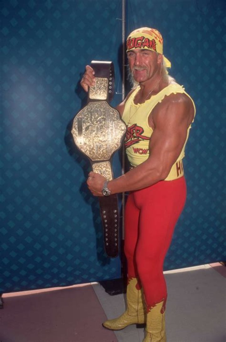 Hulk Hogan WWF Champion Cropped-1