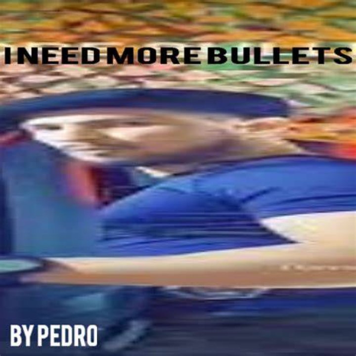 I Need More Bullets by GoldenFish Sound Effect Meme Button Tuna