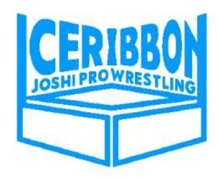 Ice Ribbon IW19 Title