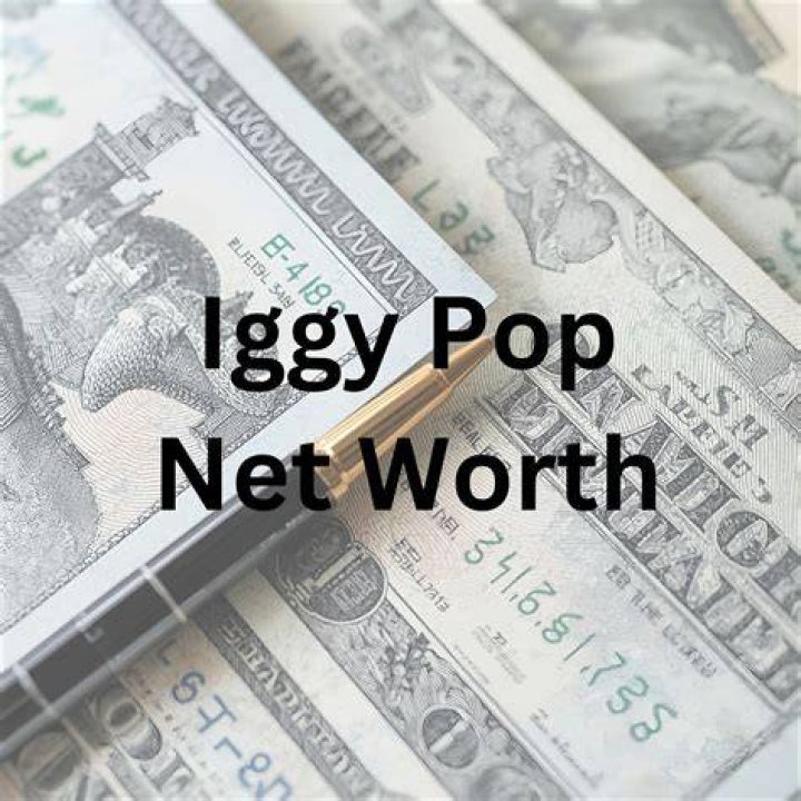 Iggy Pop&rsquo;s net worth