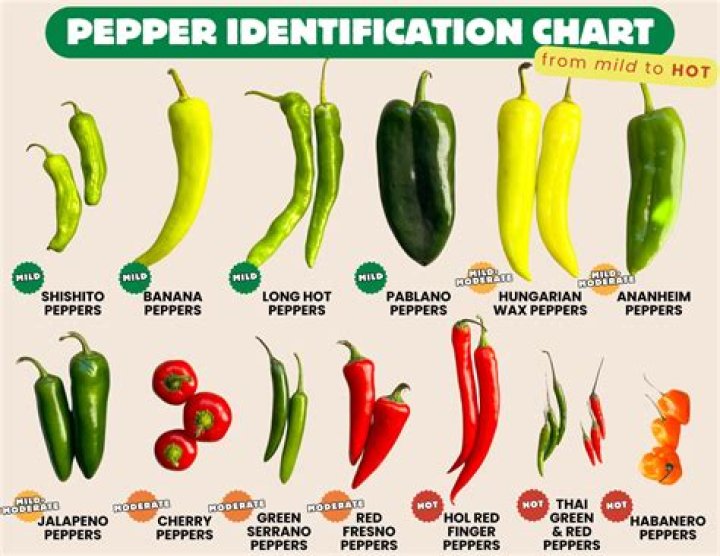 Important information about different types of chillies in SA that you can use in your food