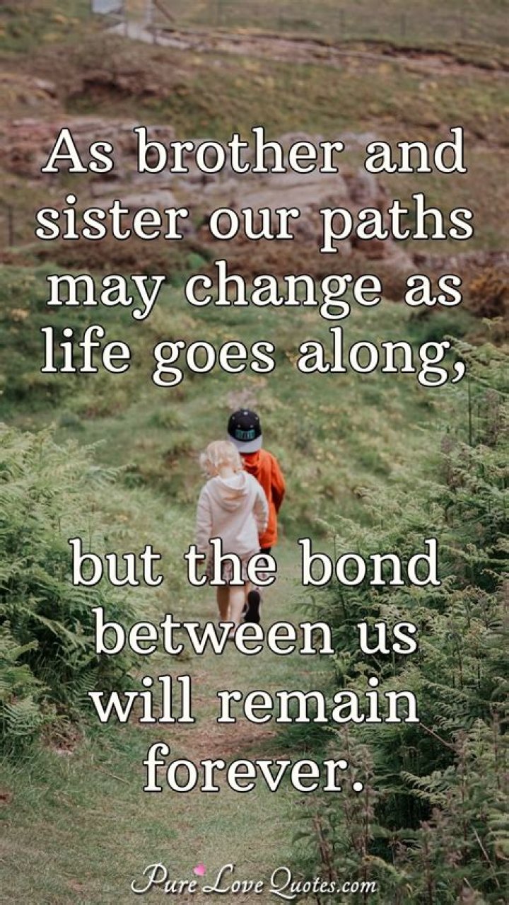Inspiring Brothers Quotes To Celebrate Sibling Bonds