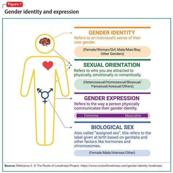 Is Brittany Griner A Tranny? Understanding Gender Identity And Public Perception