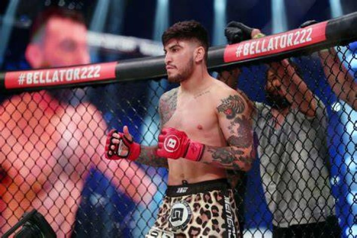 Is Dillon Danis Signed to the UFC or Bellator? All About Conor McGregor’s
Controversial Friend’s MMA Career