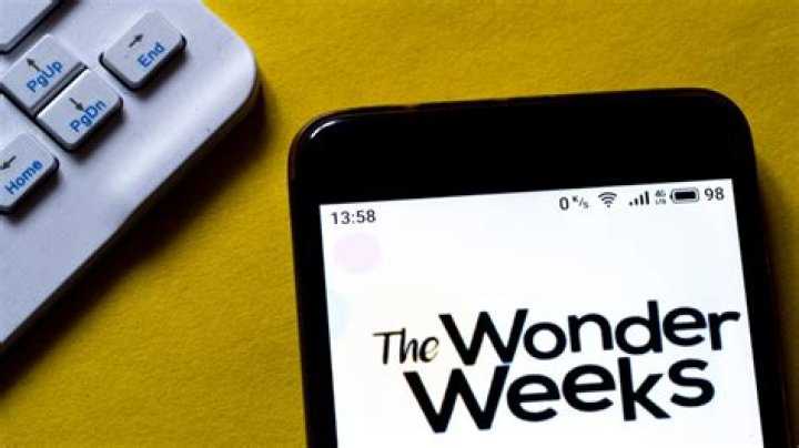 Is The Wonder Weeks App Worth The Money?