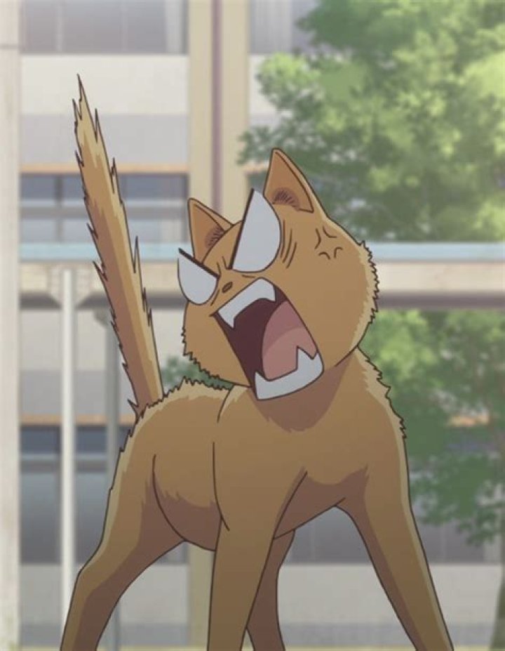 Jacques in his cat form in Scooby-Doo Zombie Island