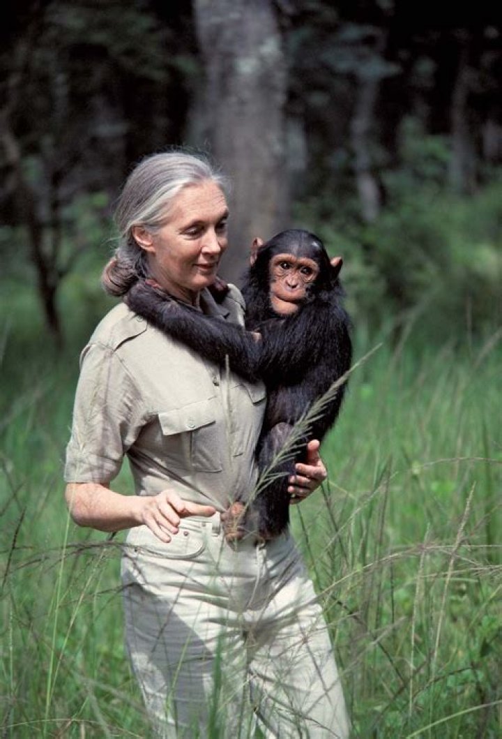 Jane Goodall weight