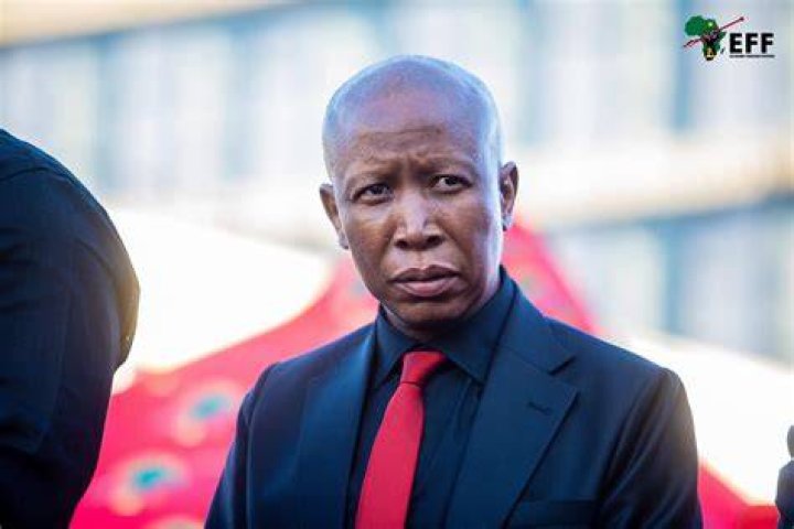 Julius Malema Latest News, Videos, Photos on We — page 14