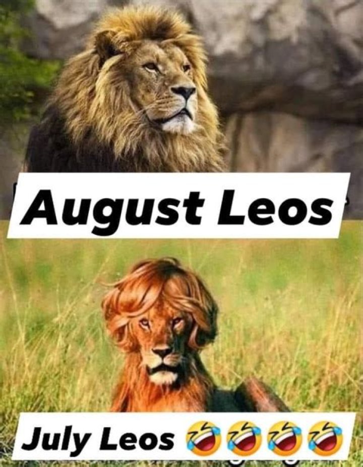 July Leo Vs. August Leo: What's The Difference?