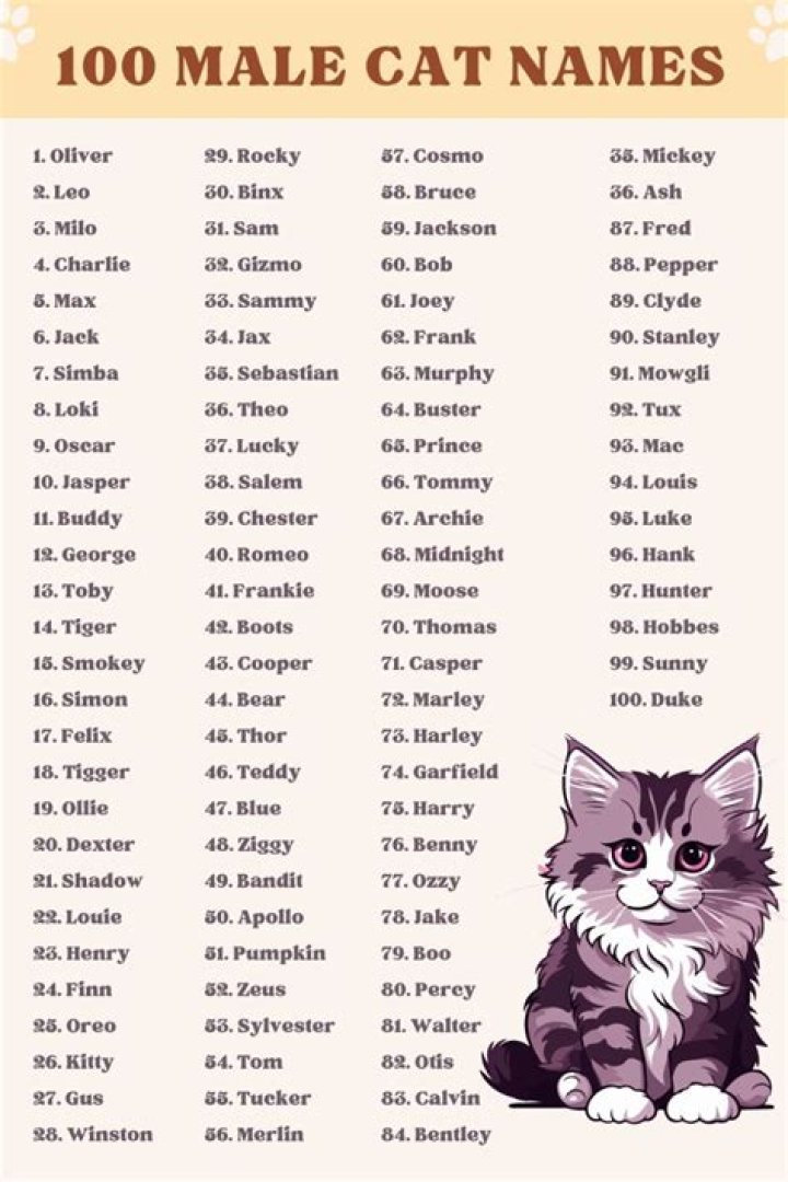 kitten names for boys