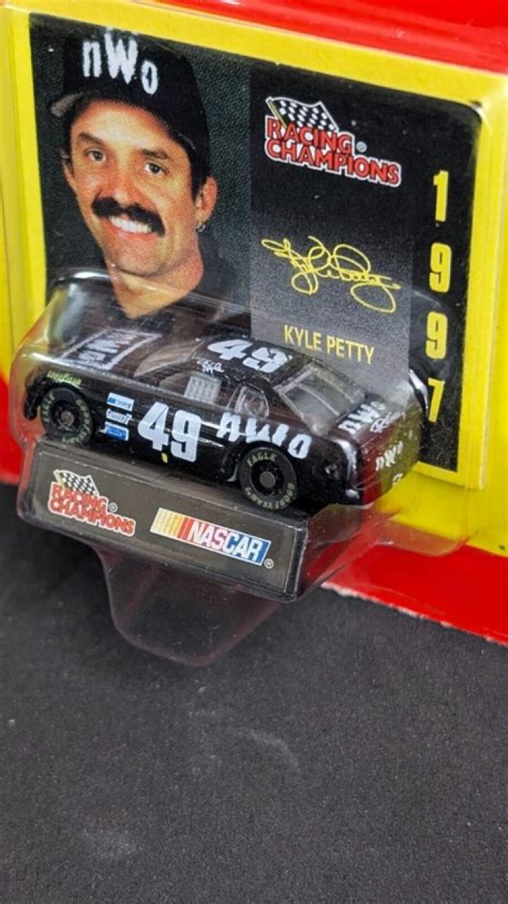Kyle Petty nWo