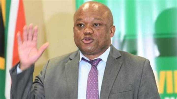 KZN Cabinet Reshuffle: Sihle Zikalala Appointed MEC Less Than a Week After Resigning