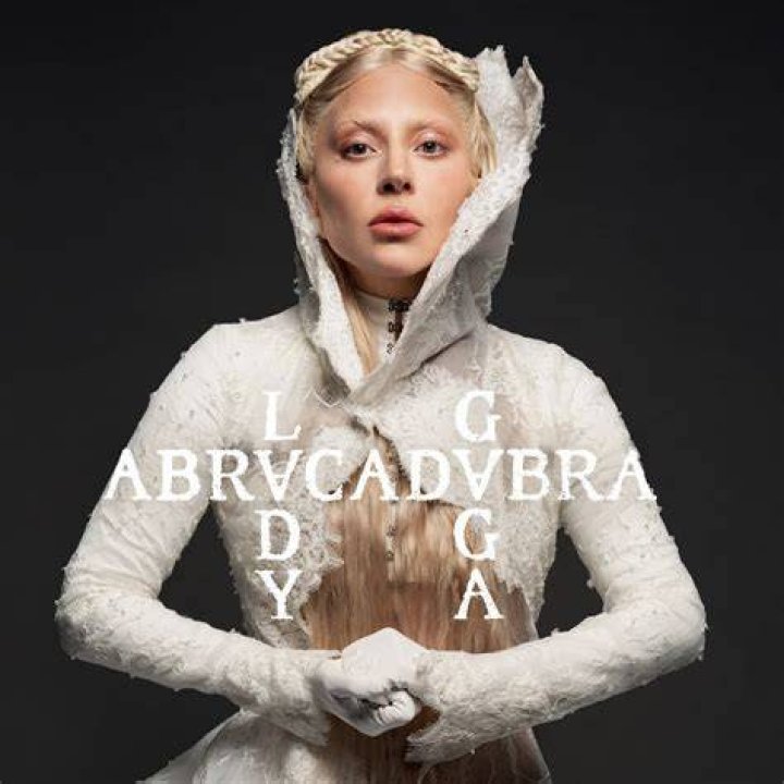Lady Gaga strips for V magazine, shows off slimmed down figure Fox News