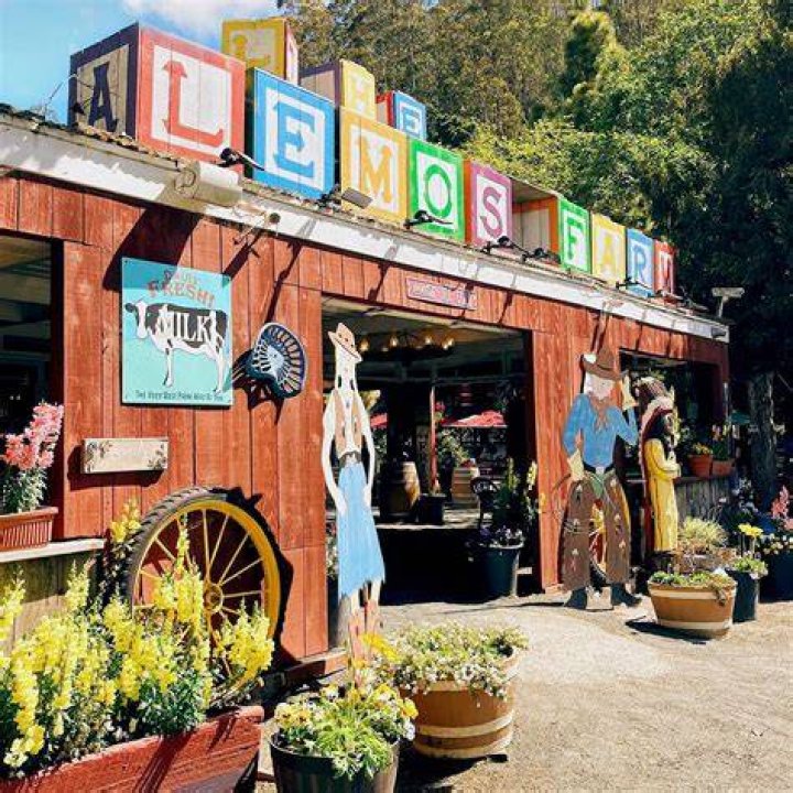 Lemos Farm in Half Moon Bay, CA Half moon bay, Farm, Bay ca