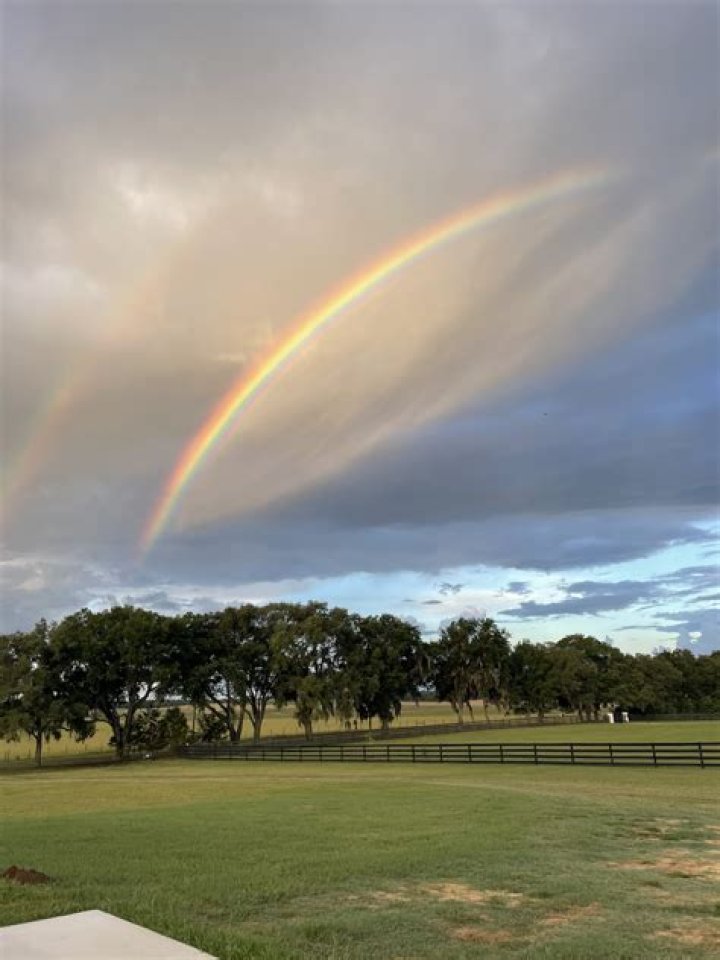 Lifestyle News Rainbow Kiss From Safety To Strange Facts, Everything