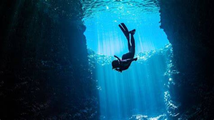 Linda Wigent: A Deep Dive Into The Life And Career Of A Remarkable Woman