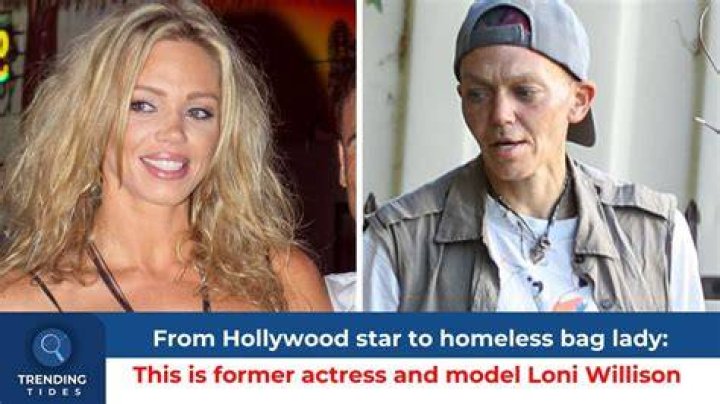 Loni Willison: A Journey Through The Life Of A Talented Actress