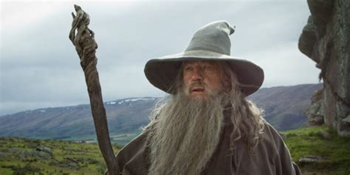 Lord of the Rings Gandalf the White with Elves