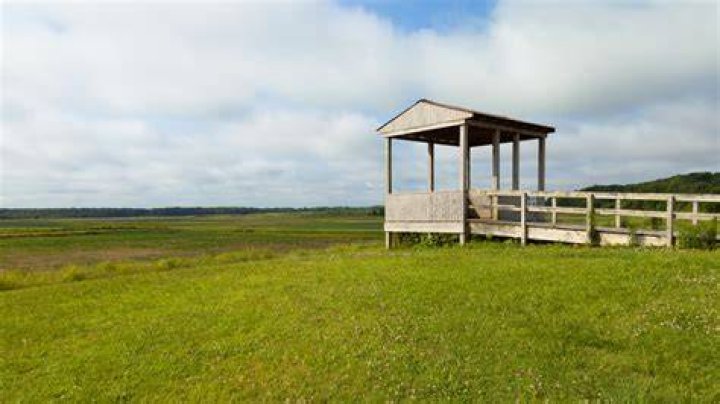 Lower Hatchie National Wildlife Refuge West Tennessee Day Trippin'