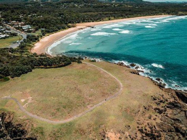 Luperus from Emerald Beach NSW 2456, Australia on November 25, 2023 at