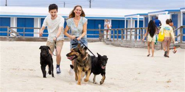 Maddie and Percy walking dogs in No Hard Feelings