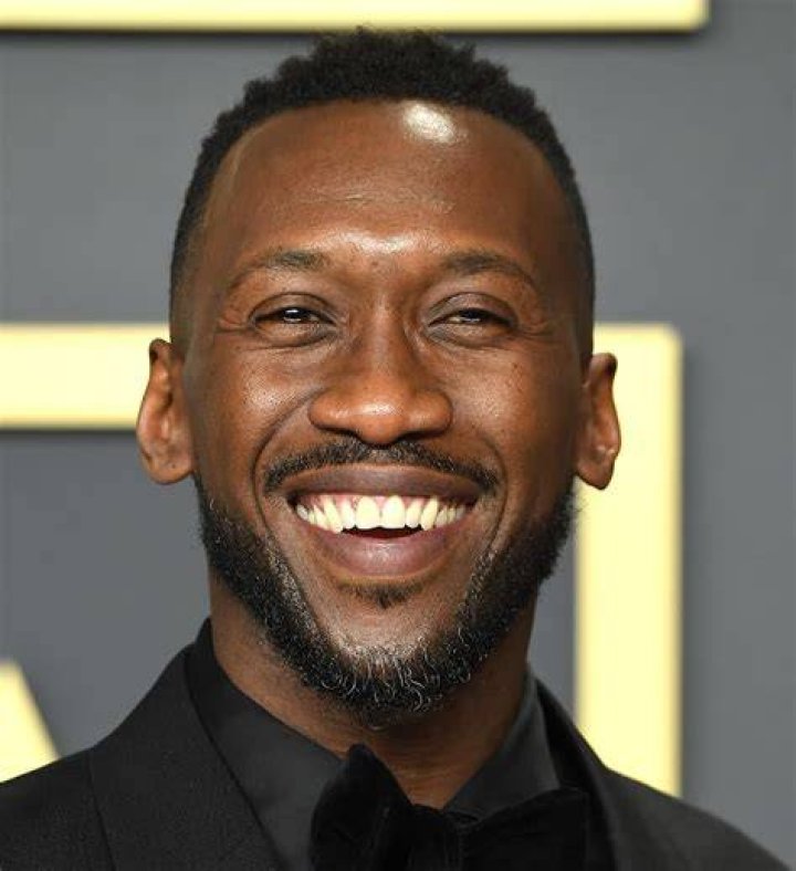 mahershala ali's blade is already different from snipes;