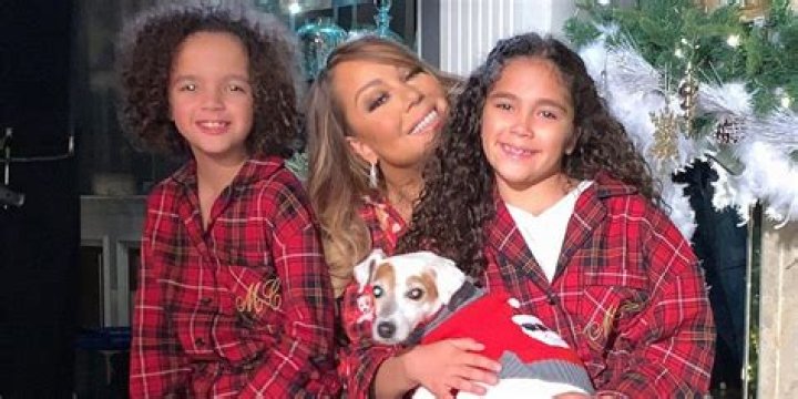 Mariah Carey as Jessica Glitter in How I Met Your Mother (1985-1994)