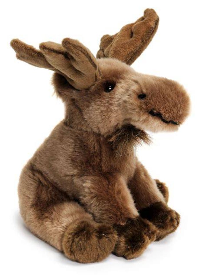 Martin the Moose 9 Inch Realistic Looking Stuffed Animal Plush By