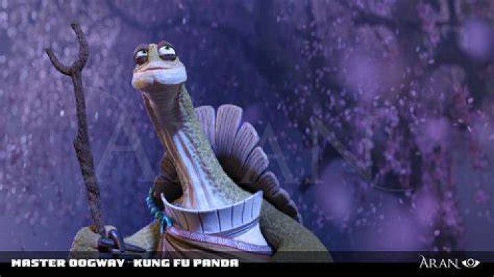Master Oggway: The Wise Tortoise Of Kung Fu Panda