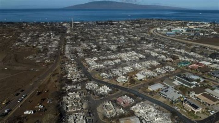 Maui Hawaii wildfires: Odds of finding missing loved ones in Lahaina falling