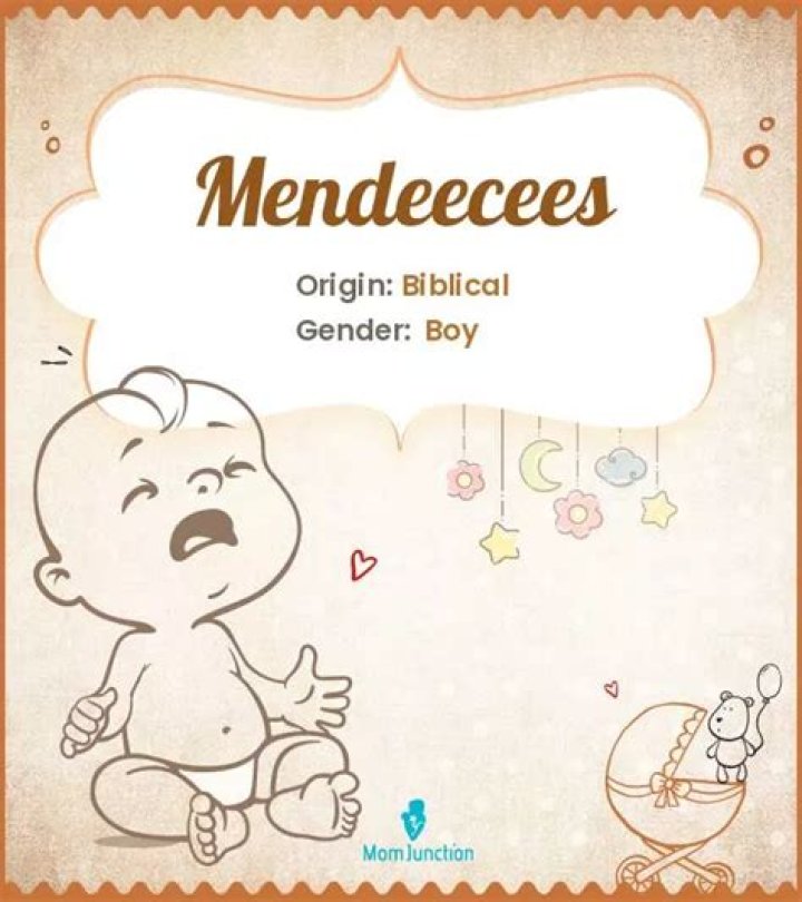 Mendeecees Baby Mama Erika breakmoms