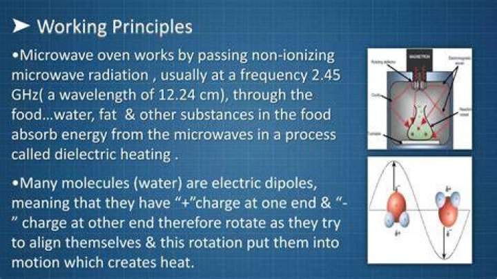 Microwave Boy meaning Microwave Boy meaning