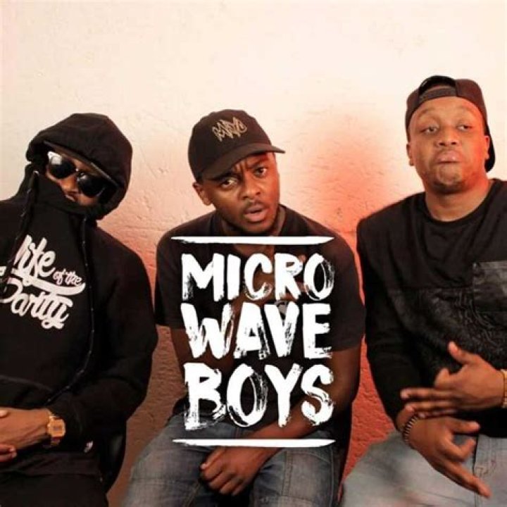 Microwave Boys members biography, YouTube, abuse allegations, split, profile