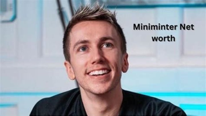 Miniminter net worth