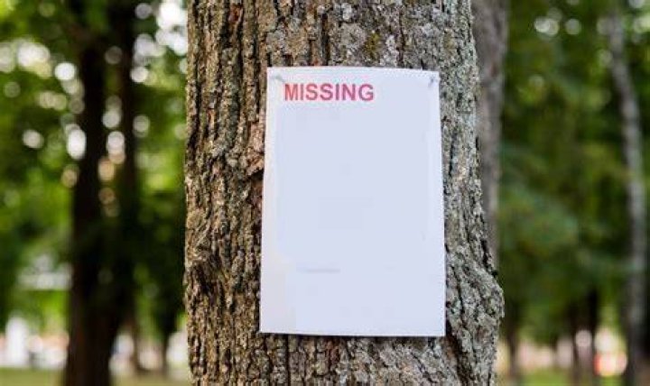 Missing Memes Imgflip