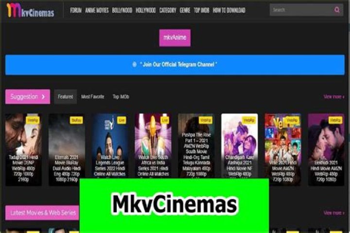 MKVCinemas 2024 Download Hollywood, Bollywood Movies, Hindi Dubbed