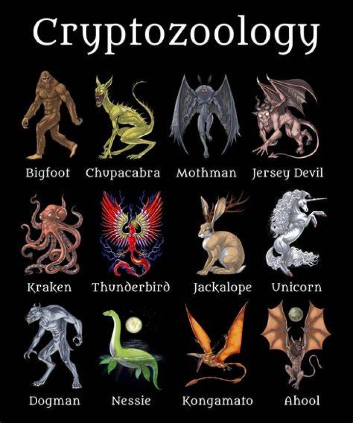 Morell, the Cryptozoologist Fan Casting for Disco Elysium | myCast