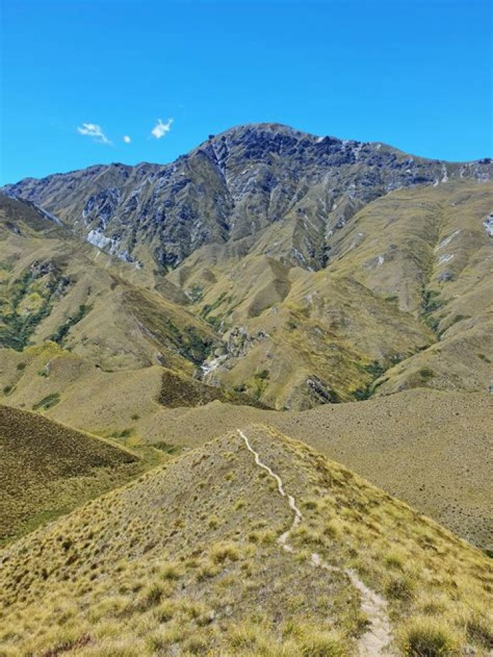 Motatapu Track. Photo / Scott K MacLeod