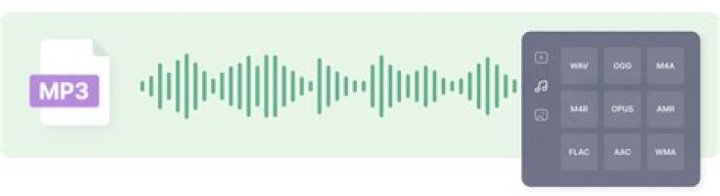M&Uacute;SICA ESENCIAL EN MP3 THE ALLMAN BROTHERS BAND