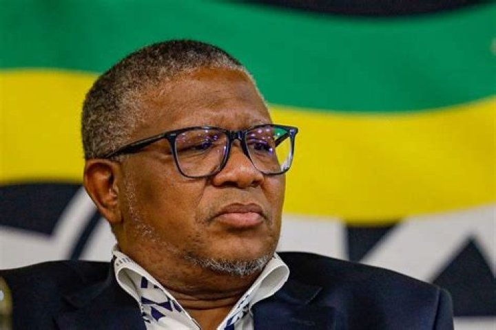 Mzansi Lashes Out at ANC's Fikile Mbalula for Opening Case Against Mthunzi Mdwaba
