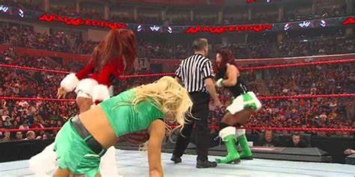 Natalya, Jillian Hall, Maryse, and Victoria v Michelle McCool, Mickie James, Kelly Kelly & Maria Armageddon 2008 Cropped