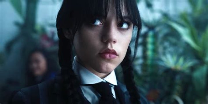 Netflix; Wednesday Addams; Jenna Ortega; Percy Hynes White
