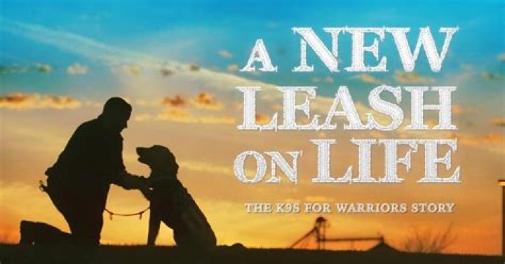 New Leash On Life The K9s for Warriors Story WTTW