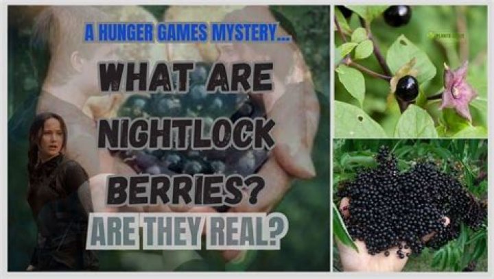Nightlock berries in The Hunger Games