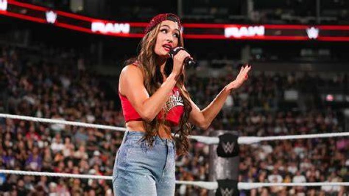 Nikki Bella's 10 Best Outfits In WWE