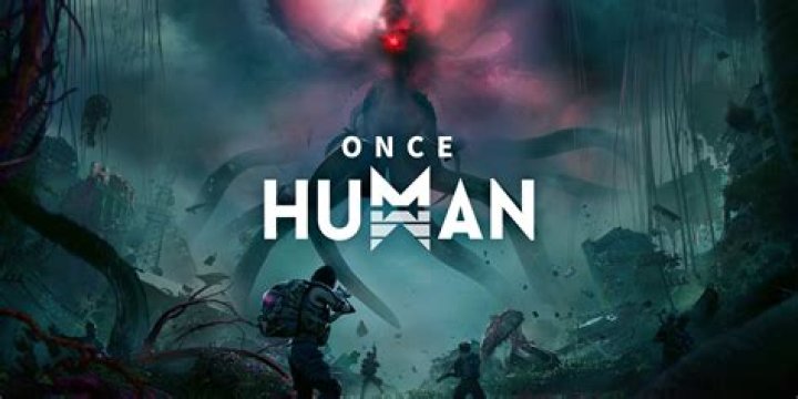 Once Human